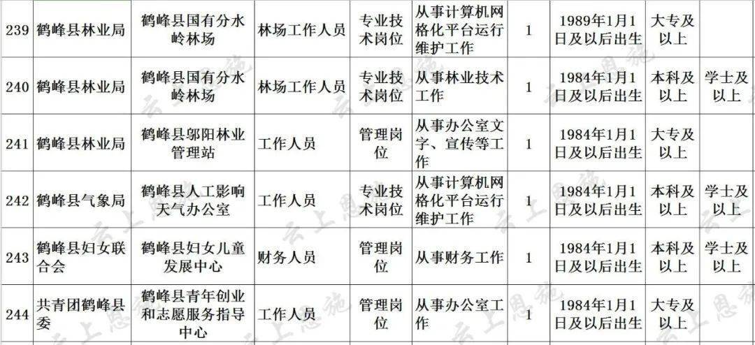 恩施市审计局最新招聘启事概览