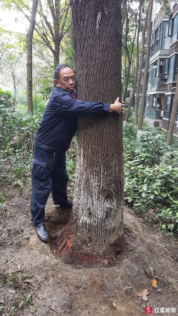 仇梁村委会领导概览更新