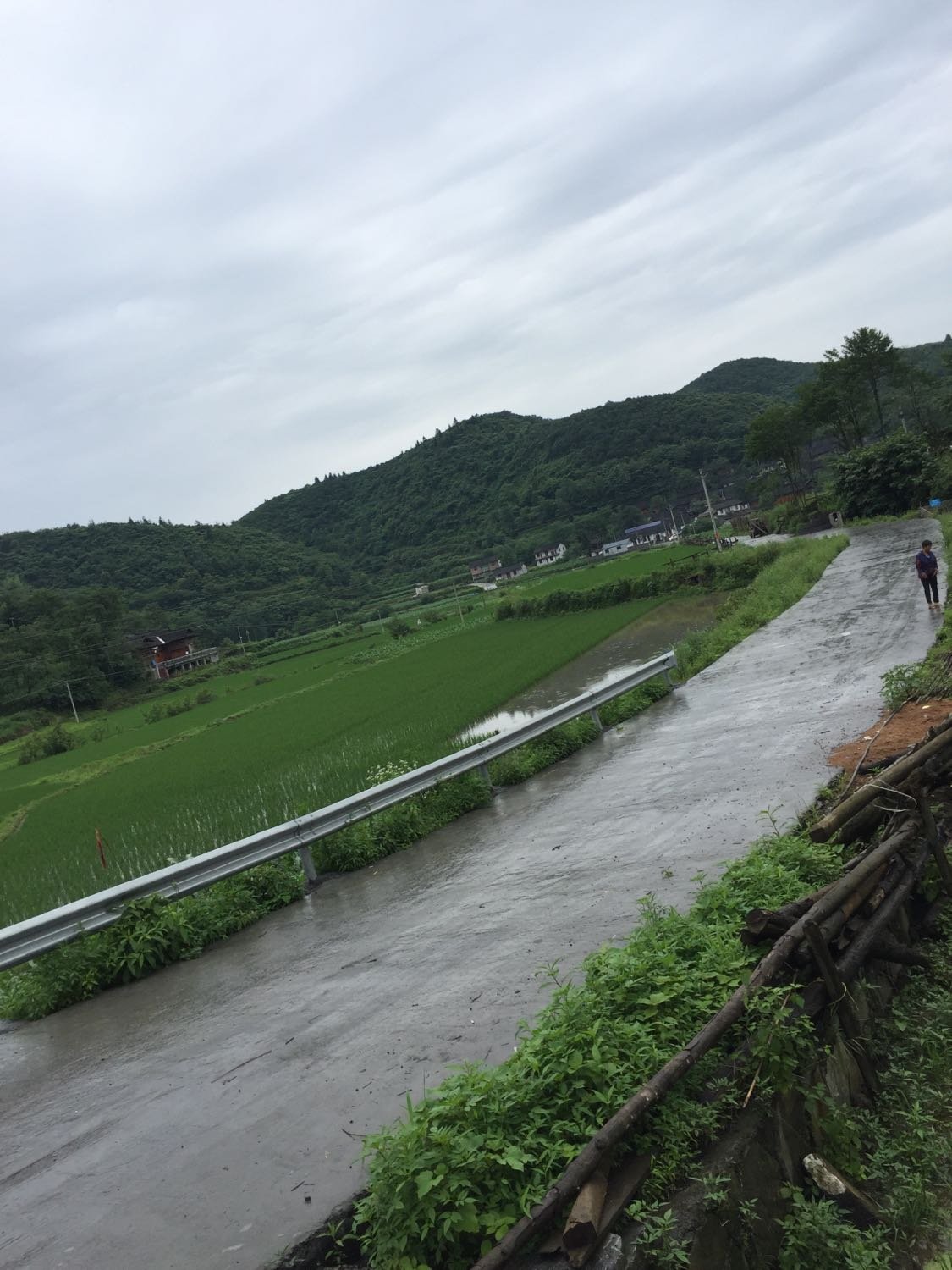 河程村民委员会天气预报更新通知