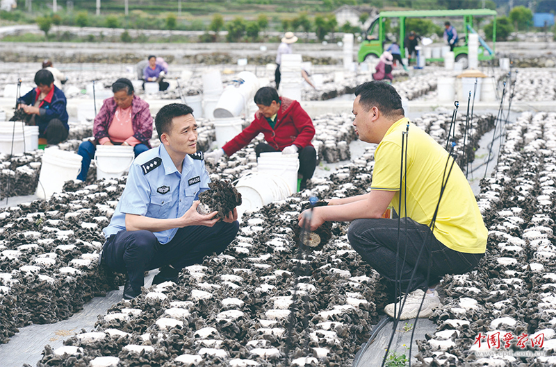 印江土家族苗族自治县公安局最新动态报道