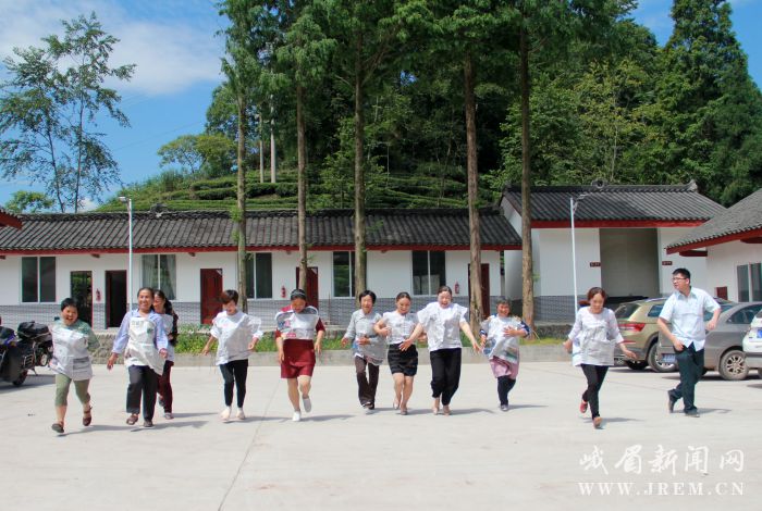 鸣凤村乡村振兴典范，最新动态与未来展望