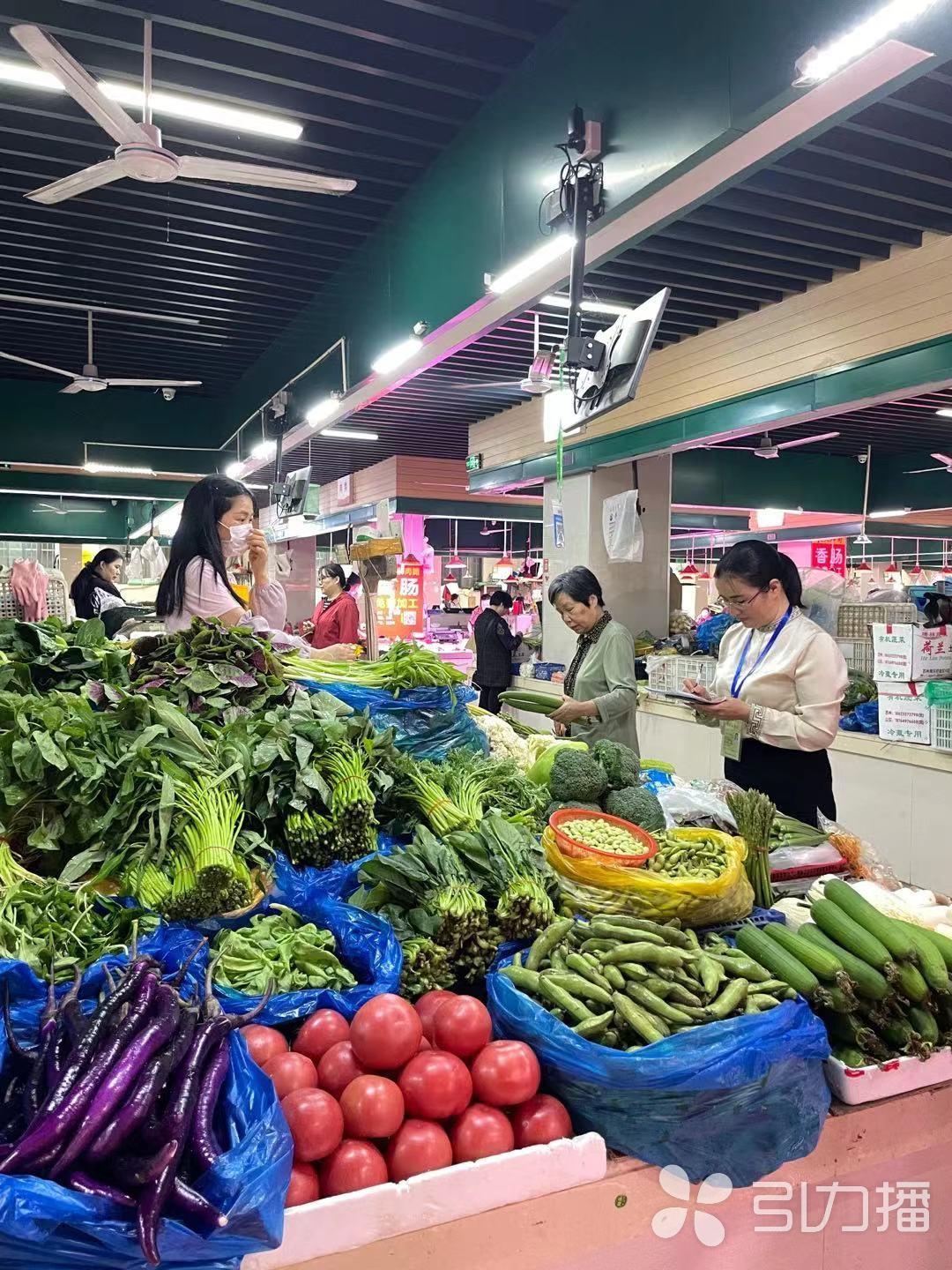 苏州市企业调查队最新项目研究，深度探索与洞察