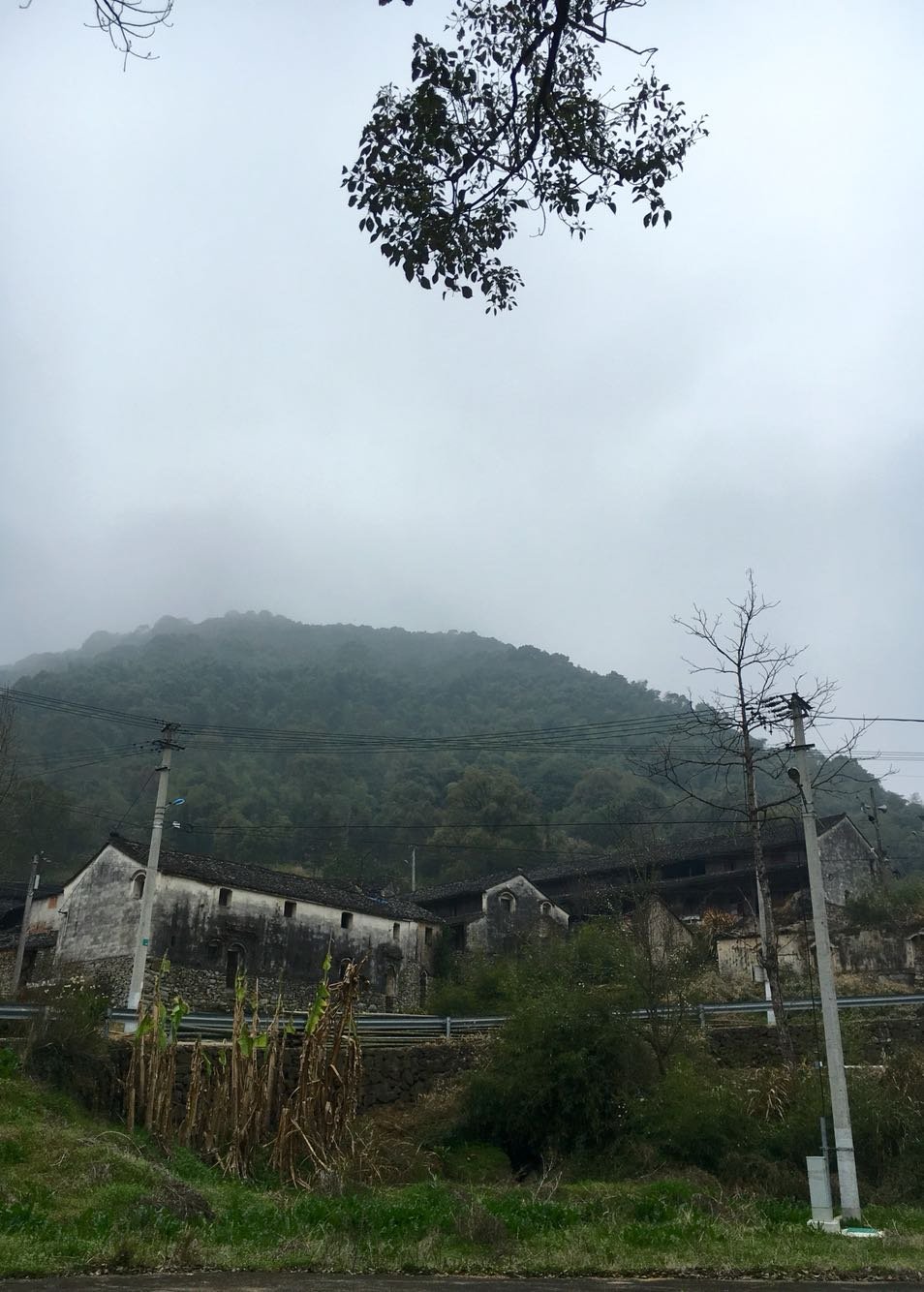 石别镇天气预报更新通知