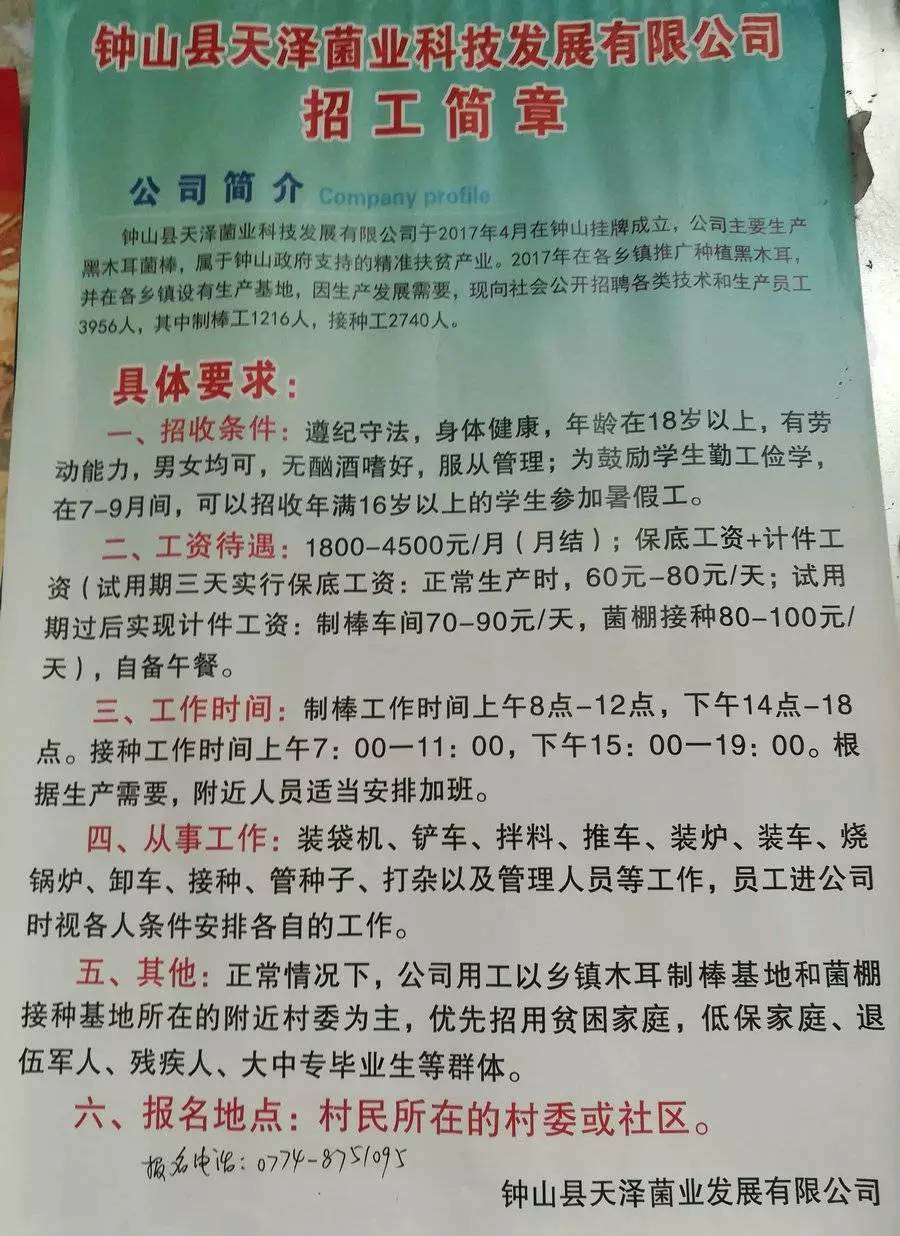 八一村最新招聘信息汇总