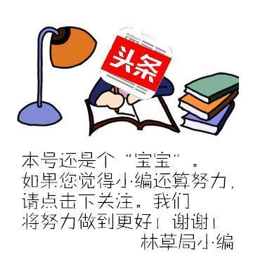 树新林场天气预报更新通知