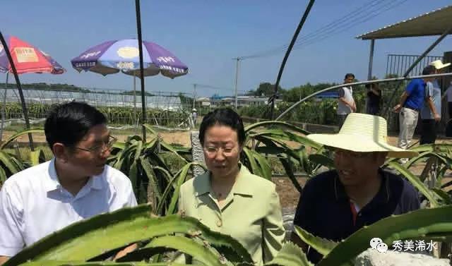 黄冈市扶贫开发新动向，引领贫困地区迈向崭新篇章的项目启动