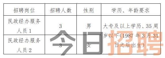 新宁县民政局最新招聘信息概览