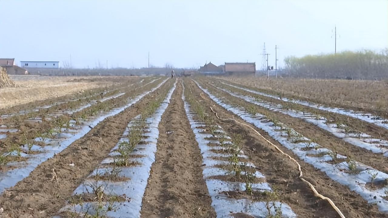 奋进乡交通新动态，迈向更便捷的未来