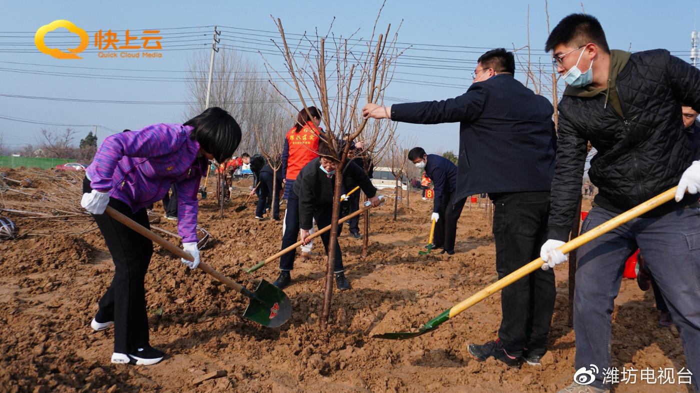 潍坊市国土资源局最新动态报道